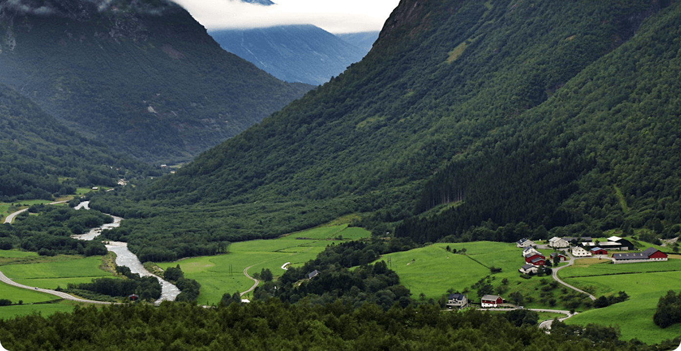 Immobilienmakler ohne Vertrag